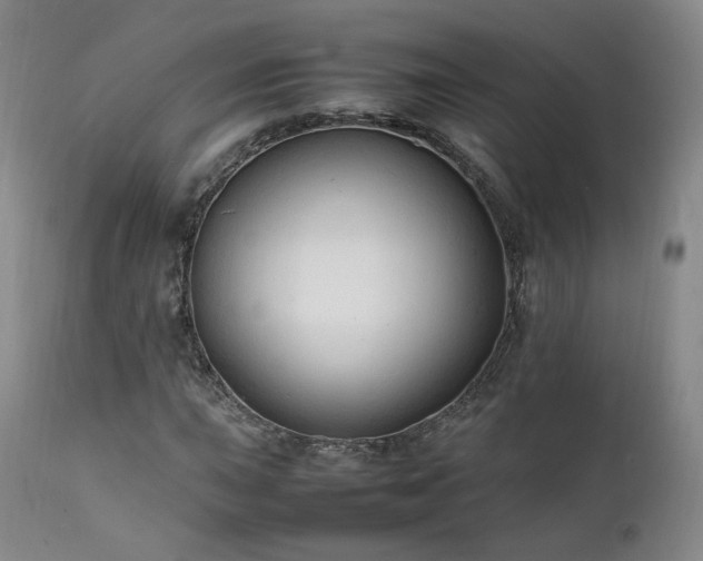 X0000111951015200907271432