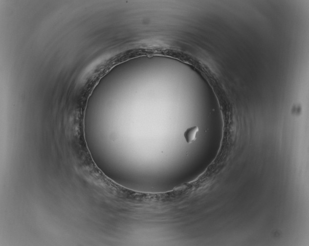 X0000111951016200907271432