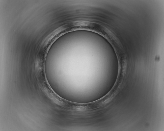 X0000111951017200907271432