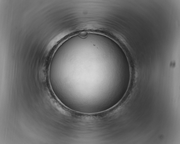 X0000111951018200907271432