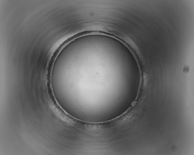 X0000111951020200907271432