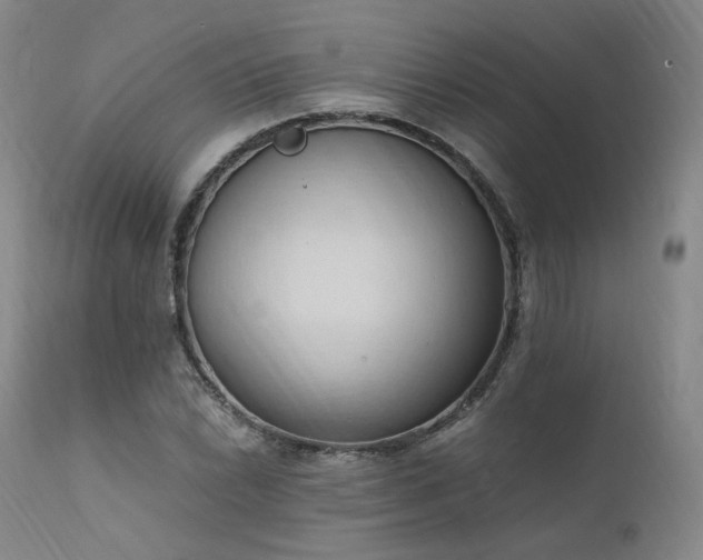 X0000111951022200907271432