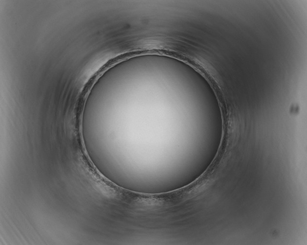 X0000111951023200907271432