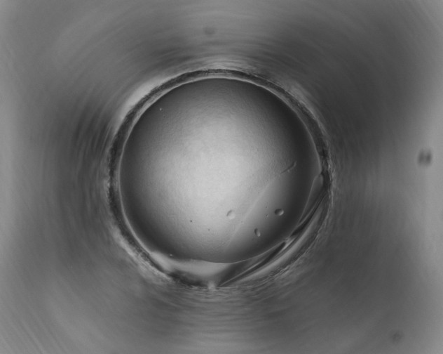 X0000111951024200907271432