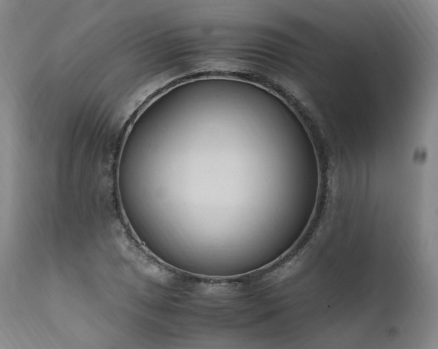 X0000111951025200907271432
