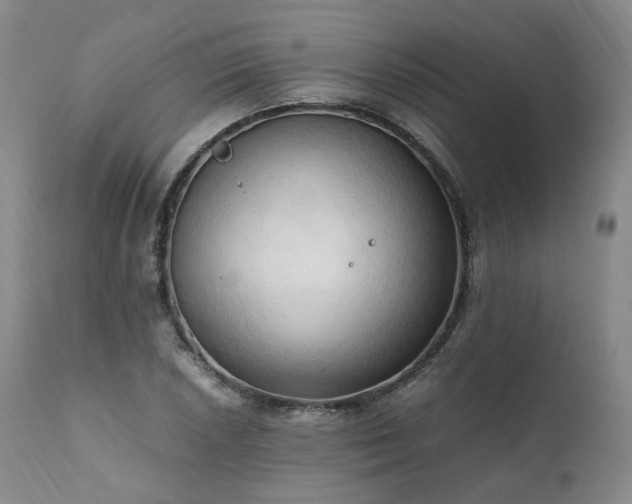 X0000111951026200907271432