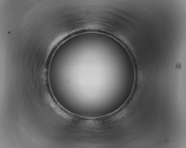 X0000111951029200907271432
