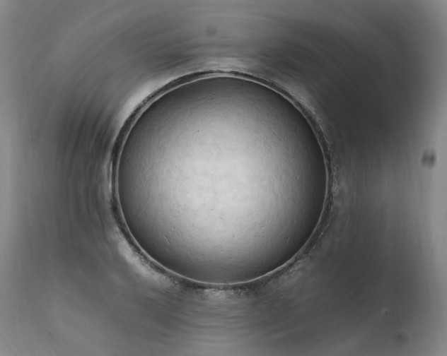 X0000111951032200907271432