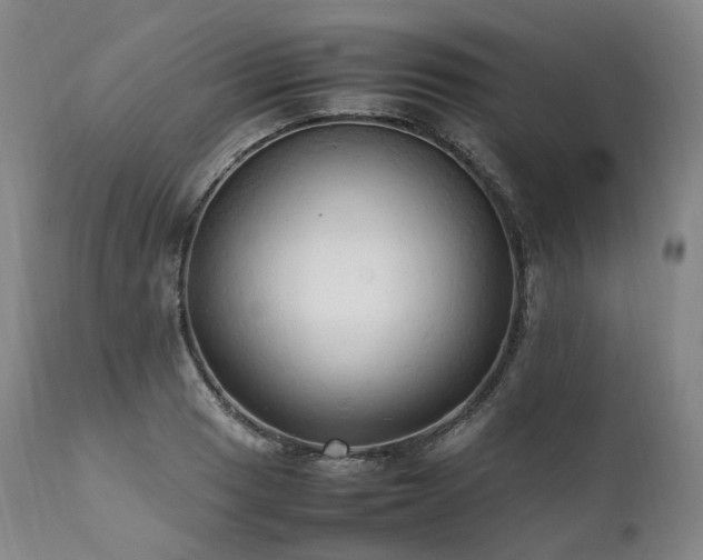X0000111951033200907271432