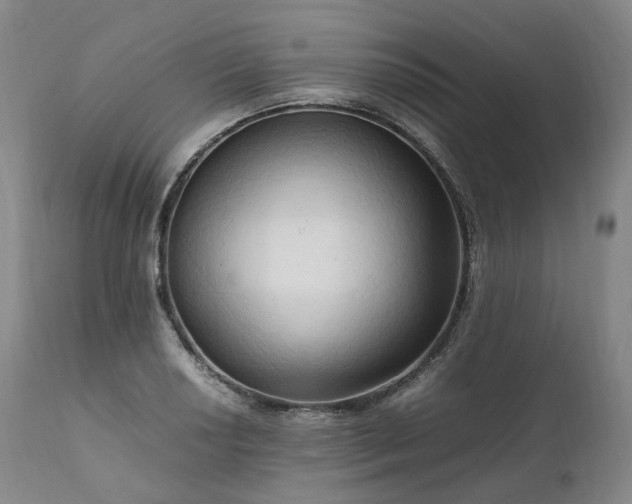 X0000111951034200907271432