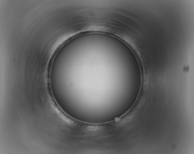 X0000111951037200907271432