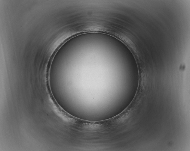 X0000111951039200907271432