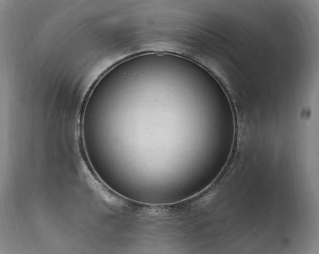 X0000111951040200907271432