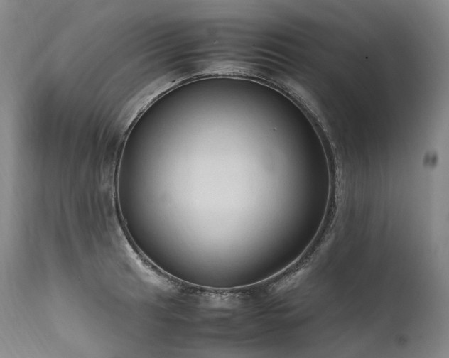 X0000111951041200907271432