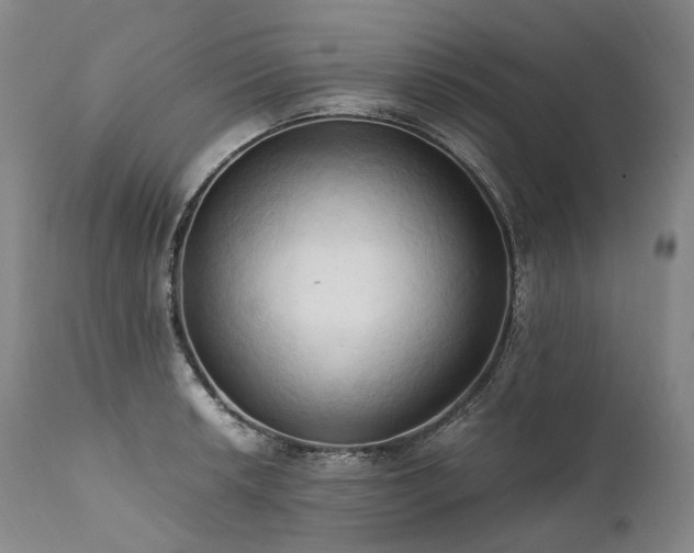 X0000111951042200907271432