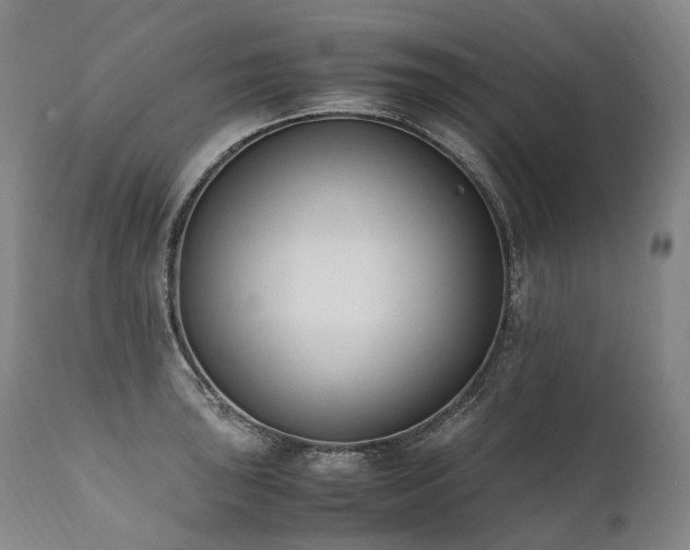 X0000111951043200907271432