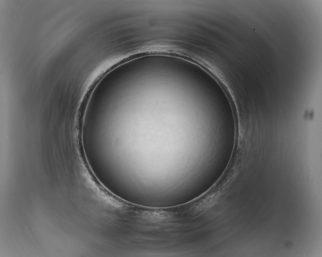 X0000111951045200907271432