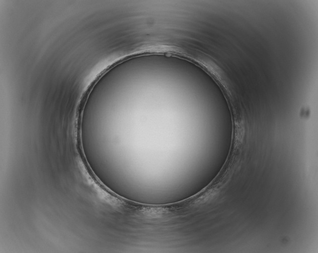 X0000111951046200907271432