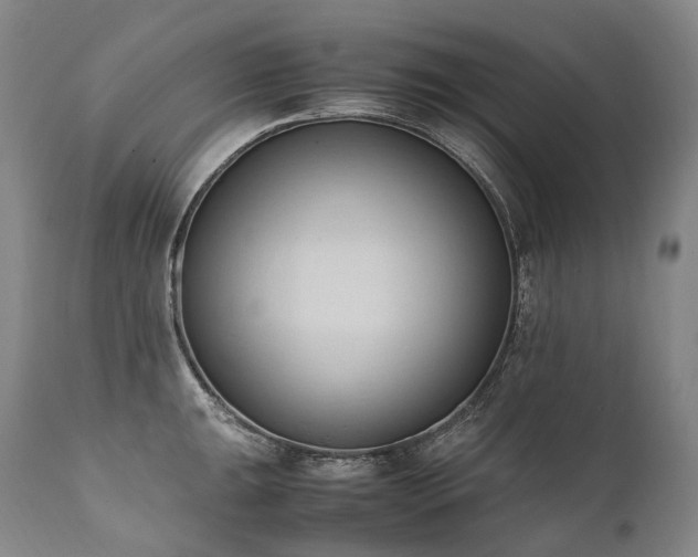 X0000111951047200907271432