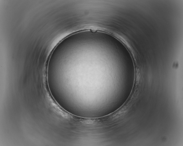 X0000111951048200907271432