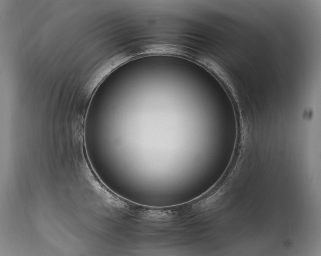 X0000111951049200907271432