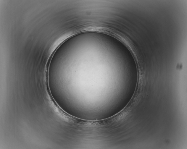 X0000111951050200907271432