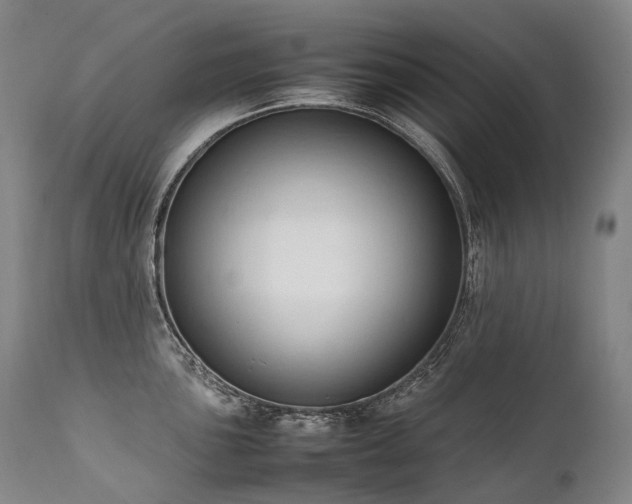 X0000111951051200907271432