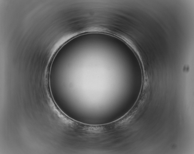 X0000111951053200907271432