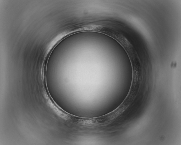 X0000111951054200907271432