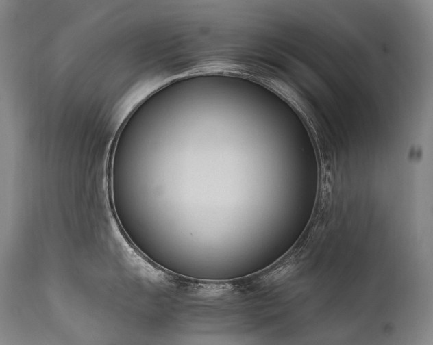 X0000111951055200907271432