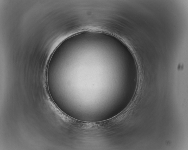 X0000111951056200907271432