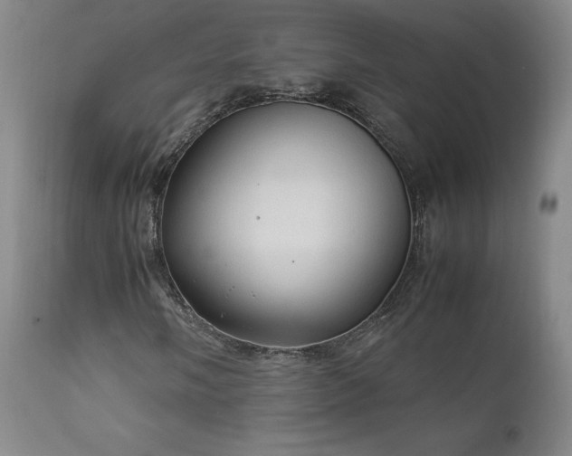 X0000111951058200907271431