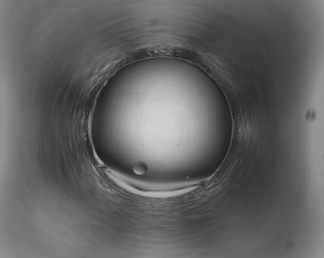 X0000111951060200907271431
