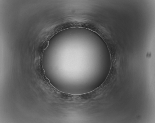 X0000111951061200907271431