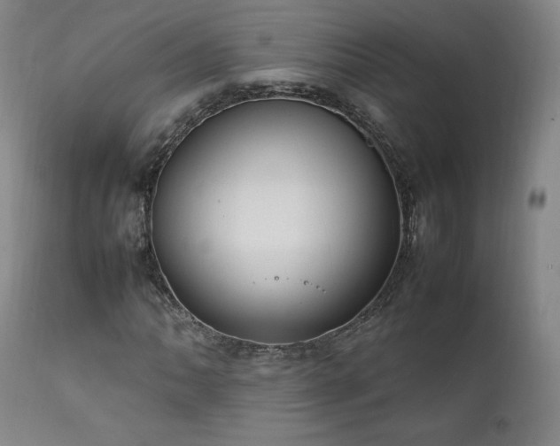 X0000111951062200907271431