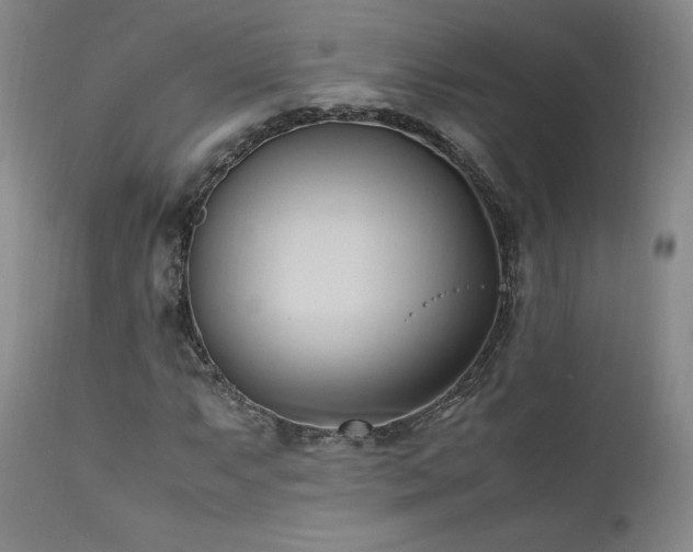X0000111951063200907271431