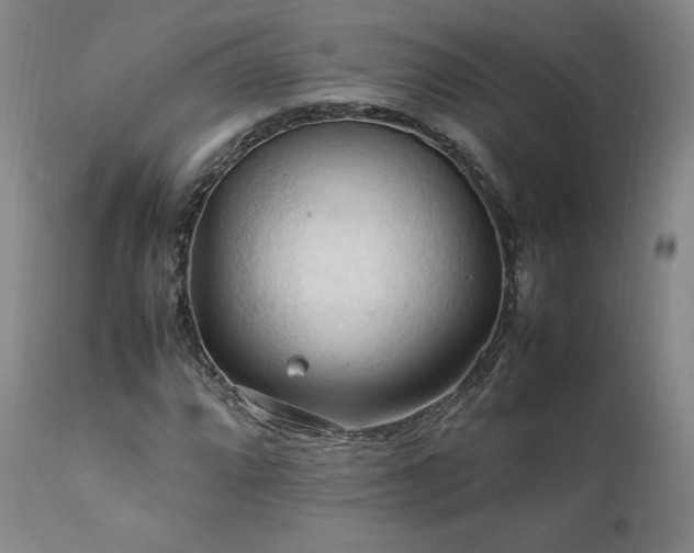 X0000111951064200907271431