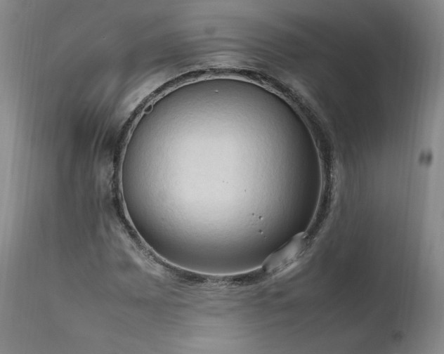 X0000111951065200907271431
