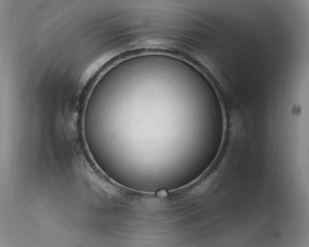 X0000111951066200907271431