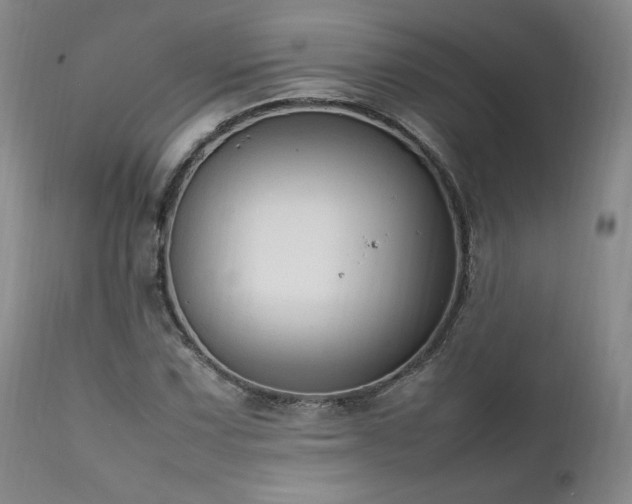 X0000111951067200907271431