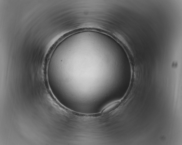 X0000111951068200907271431