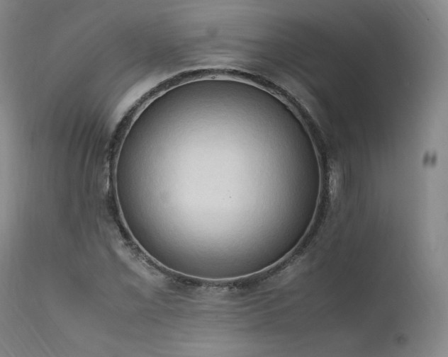 X0000111951069200907271431