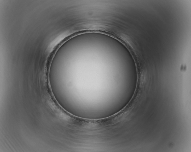X0000111951071200907271431