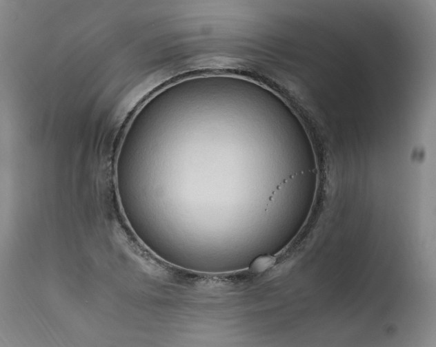 X0000111951073200907271431
