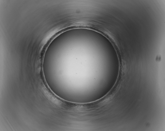 X0000111951075200907271431