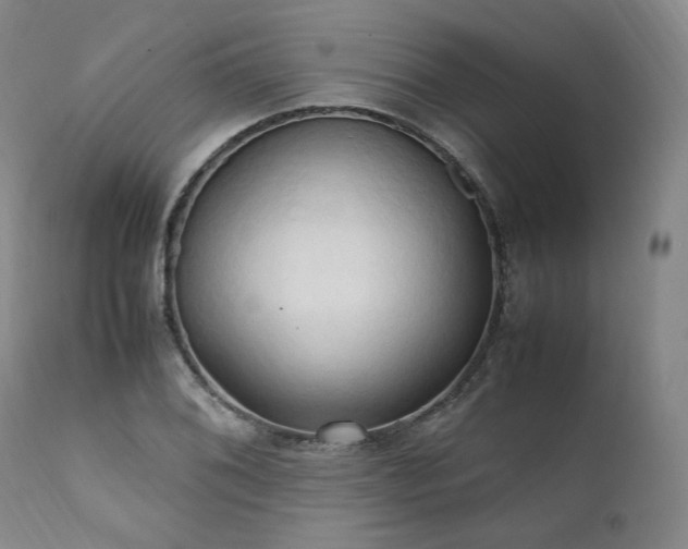 X0000111951076200907271431