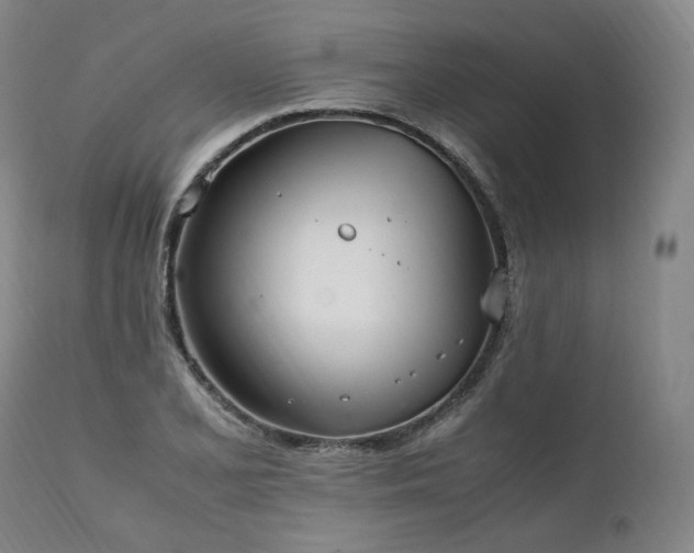 X0000111951077200907271431