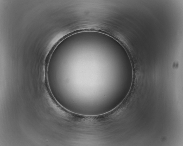 X0000111951079200907271431
