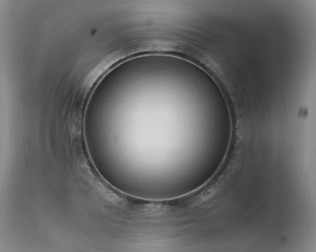 X0000111951081200907271431