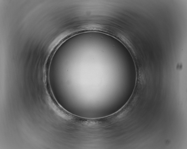 X0000111951082200907271431